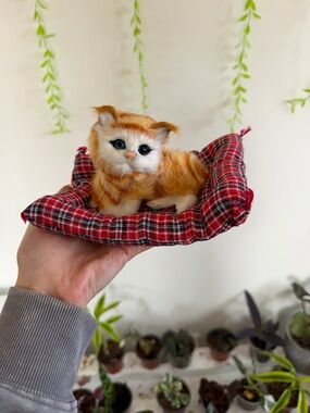 Plush Orange Tabby Kitten on Red Plaid Bed